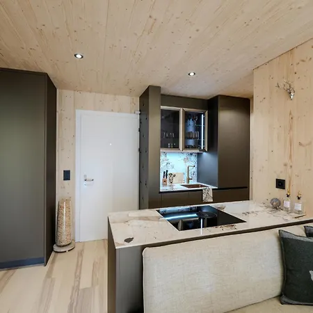 Appartamaint Tscherv By Vacations, Exklusive Im Zentrum Mit Blick Auf Den Untersee Und Berge Inkl Parkplatz Appartement Arosa