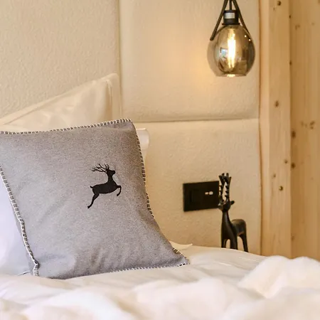 Appartamaint Tscherv By Vacations, Exklusive Im Zentrum Mit Blick Auf Den Untersee Und Berge Inkl Parkplatz Appartement Arosa